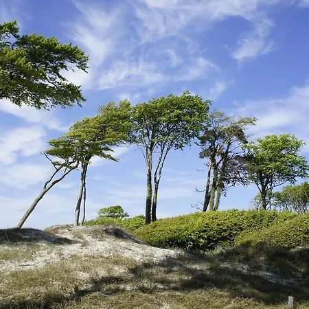 Sonnenstrahl Apartamento *