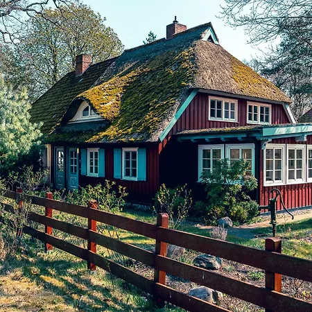 Sonnenstrahl
