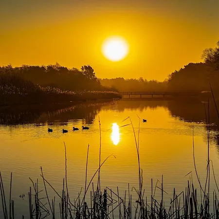 Lägenhet Sonnenstrahl