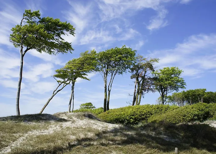 Sonnenstrahl アパート *